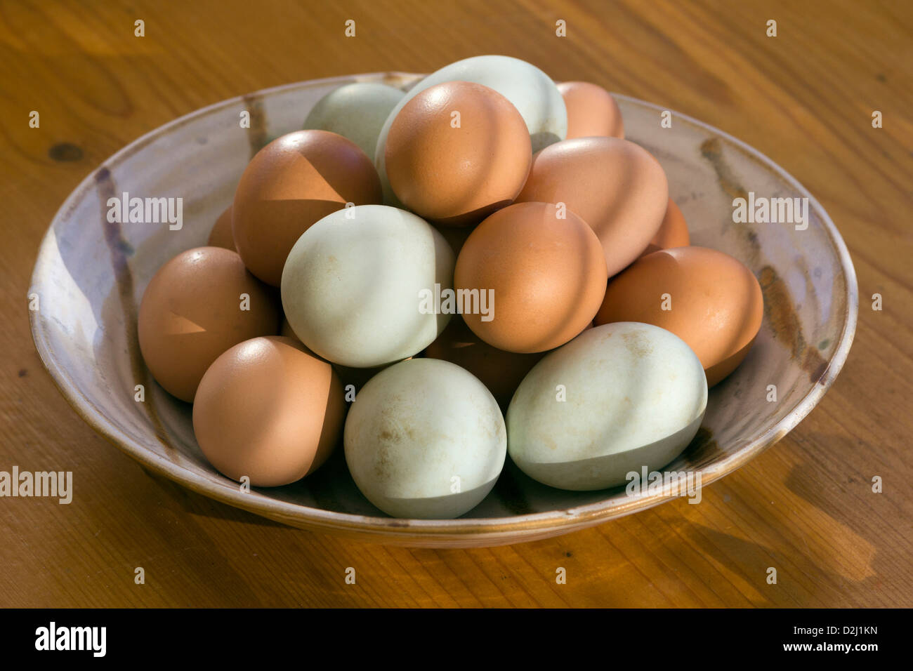 Fresh free range duck and chicken eggs in a dish in morning sunlight. Shallow depth of field. Stock Photo