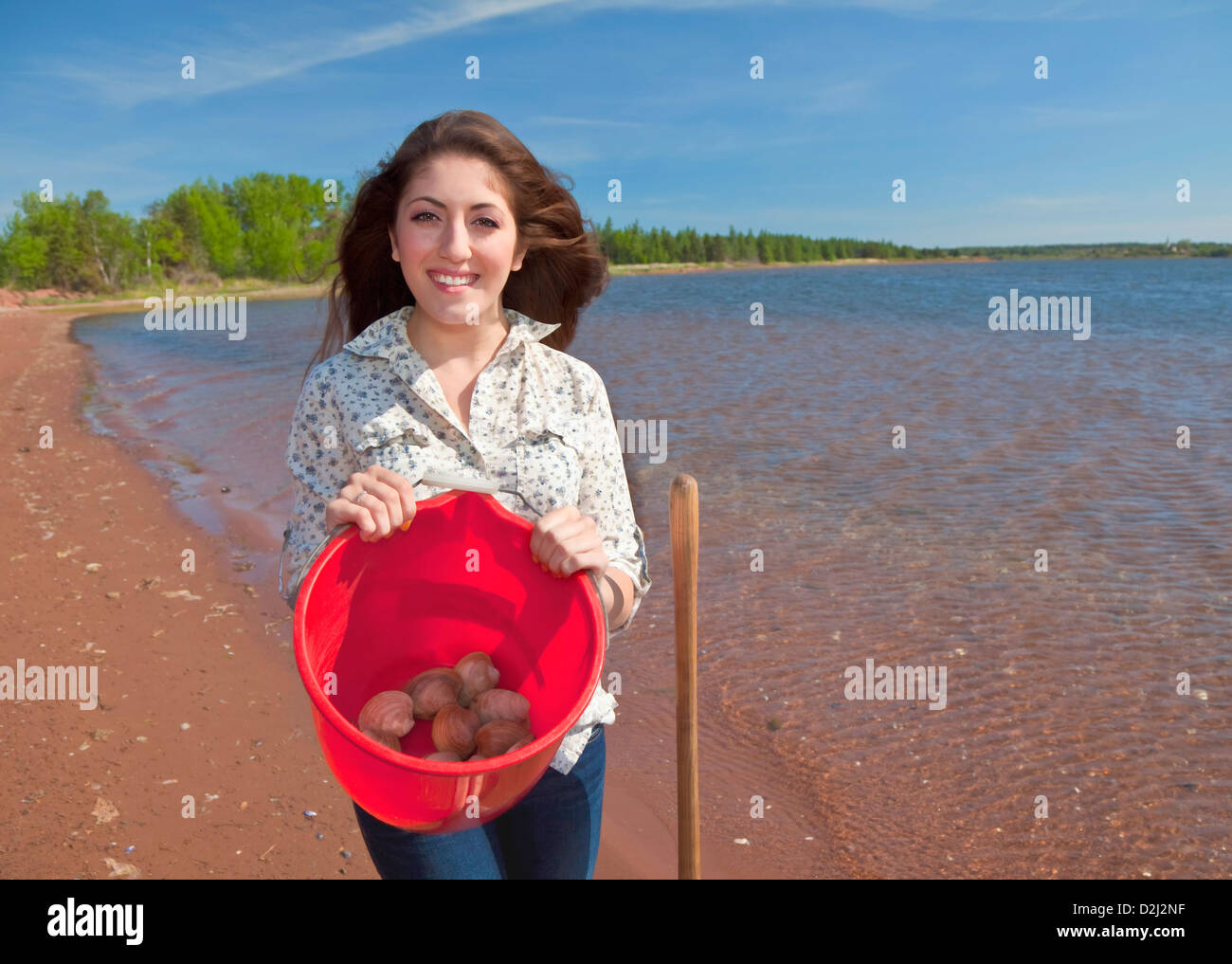 Woman digging clams hires stock photography and images Alamy