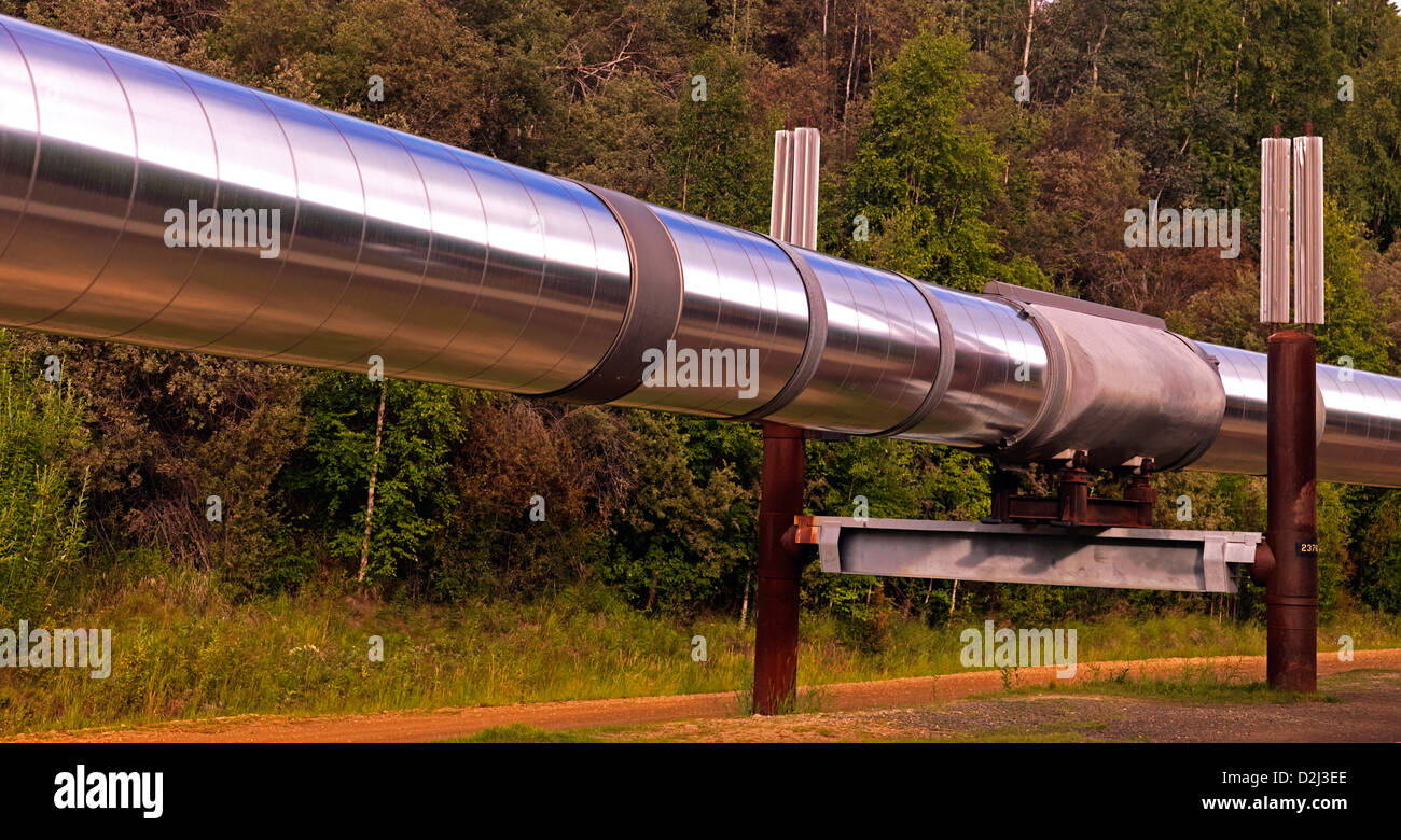 Trans Alaska Oil Pipeline photographed at Fairbanks Alaska Stock Photo