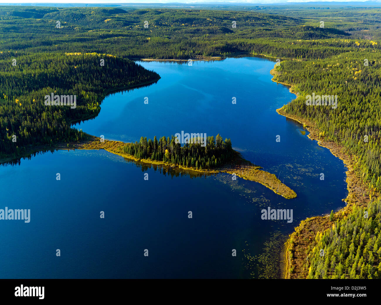 Fall colors at a secluded lake in the Watson Lake area of the Yukon