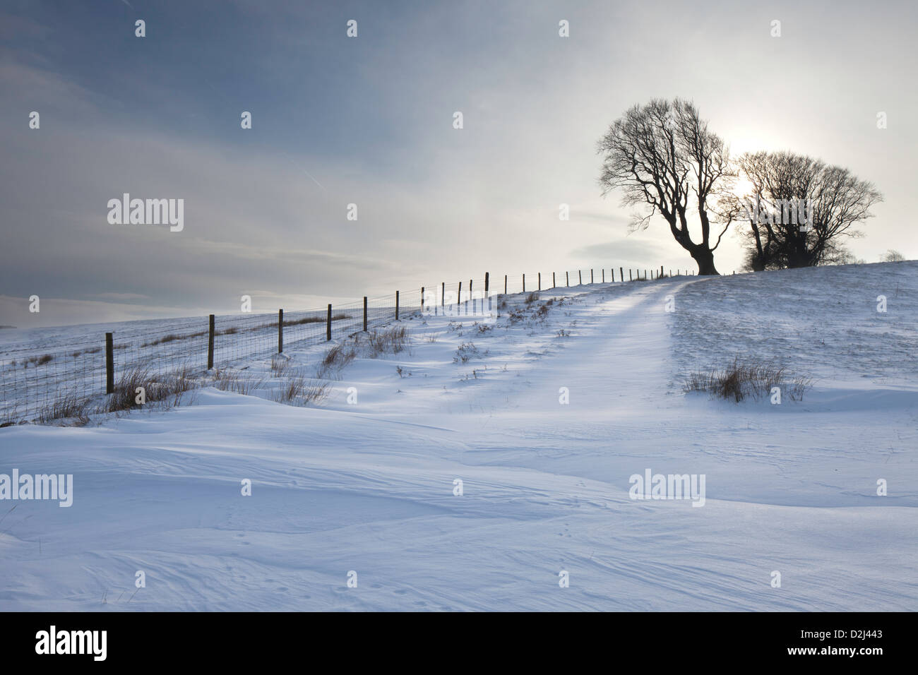 Linley Beeches Linley Shropshire High Resolution Stock Photography and Images - Alamy