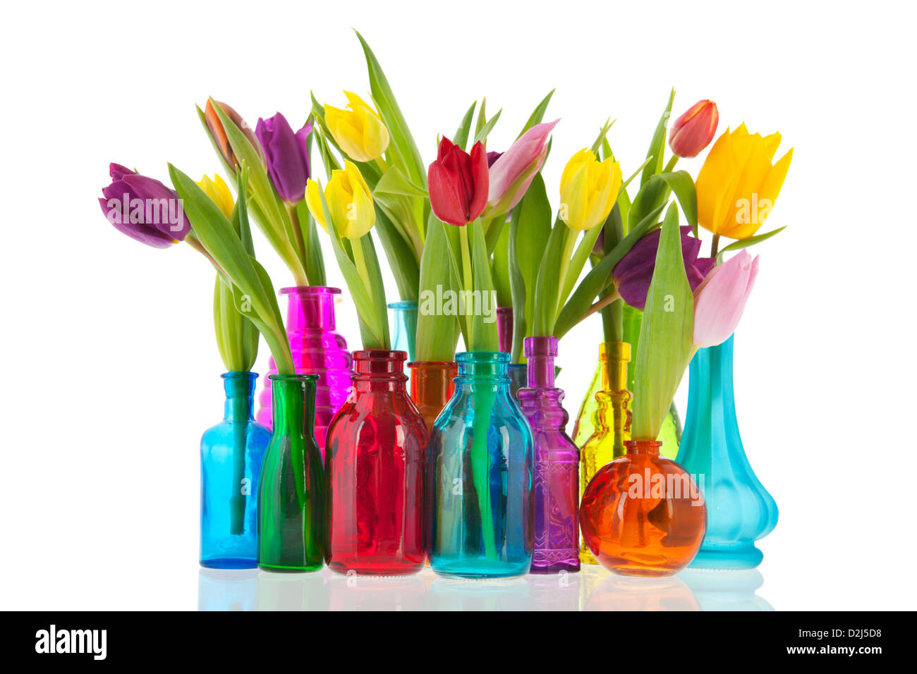 colorful tulips one by one in different glass vases Stock Photo Alamy