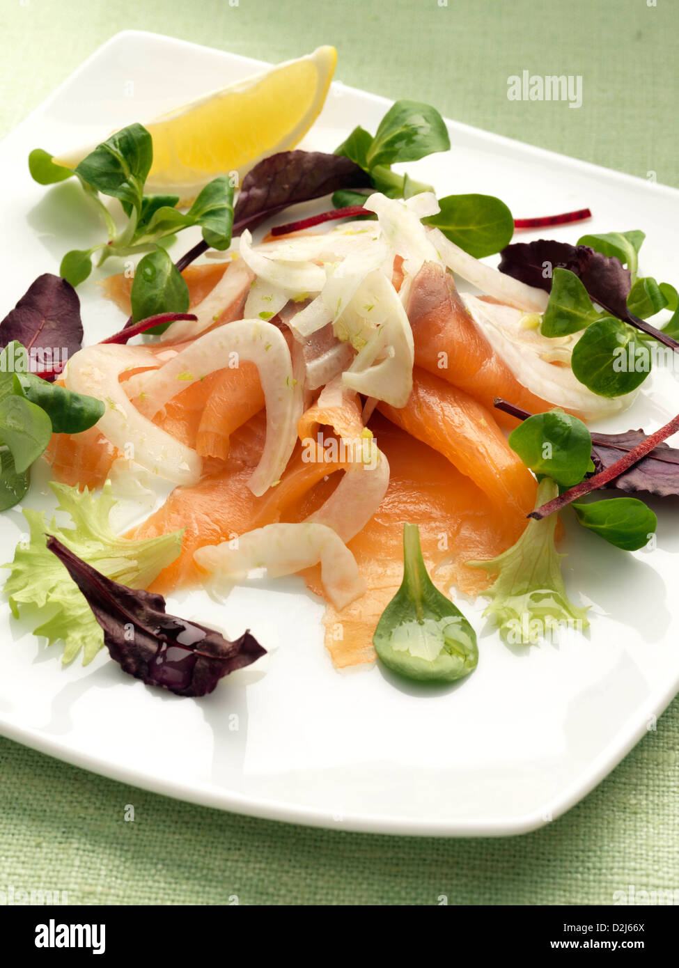 Salmon with fennel salad Stock Photo Alamy