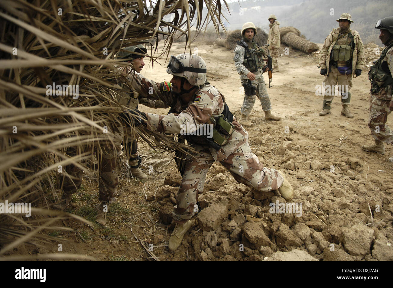 Iraqi army soldiers try to tear down a palm fence while searching for insurgents and weapons caches in Chubinait, Iraq, February 3, 2007. Stock Photo