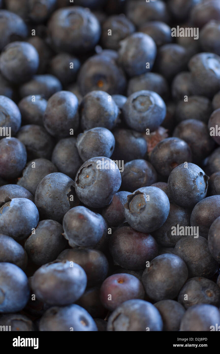 Organic blueberries - one of the Superfoods, great for brain function Stock Photo