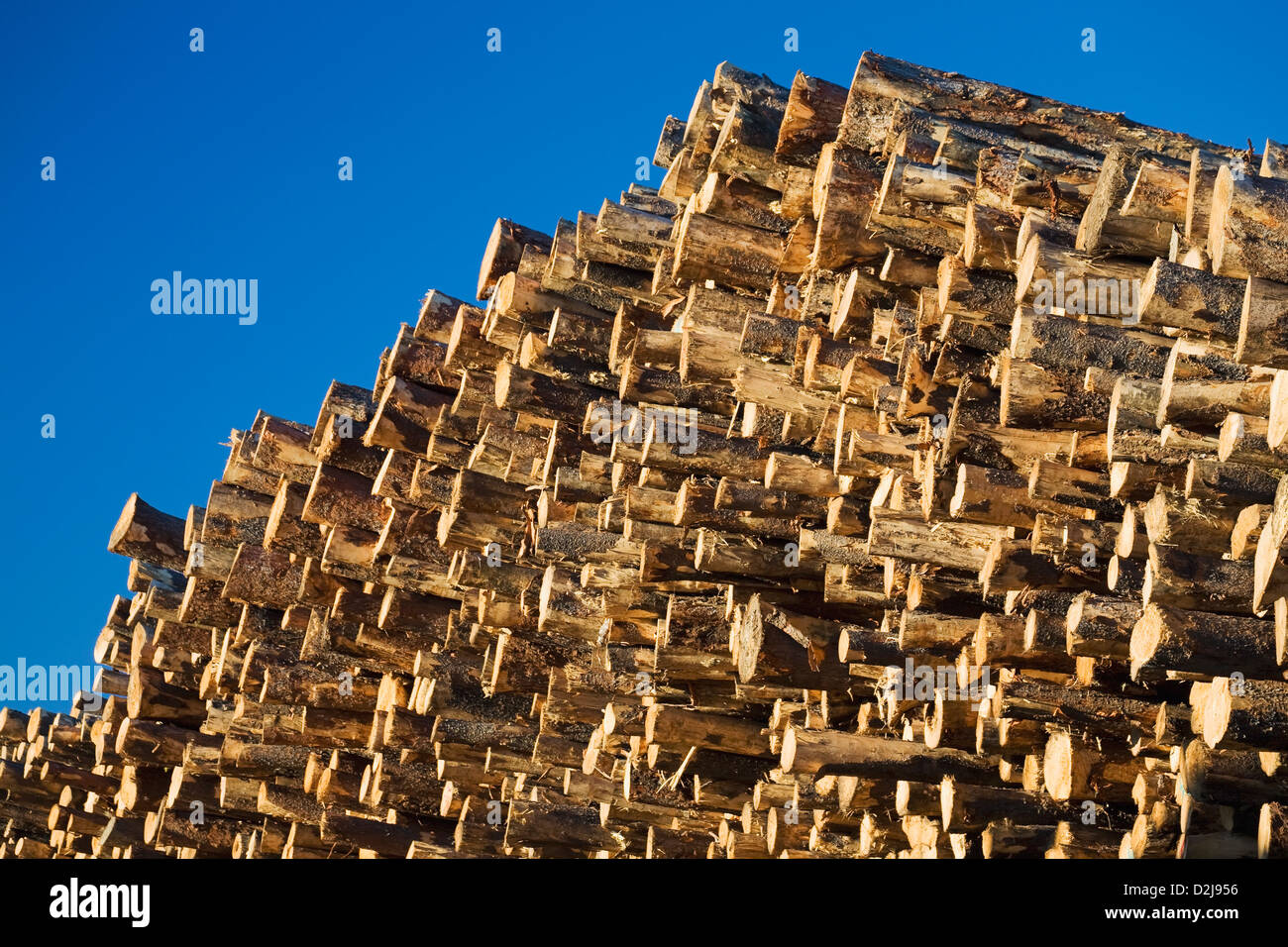 Tree farming hires stock photography and images Alamy