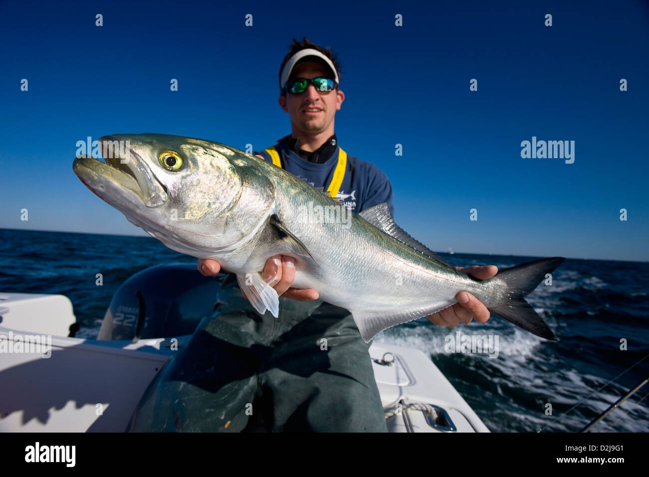 Man holding fresh caught blue fish; new york united states of america Stock Photo Alamy