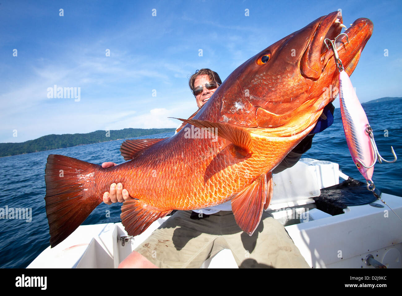 Man holding fresh caught cubera snapper (lutjanus cyanopterus); panama Stock Photo