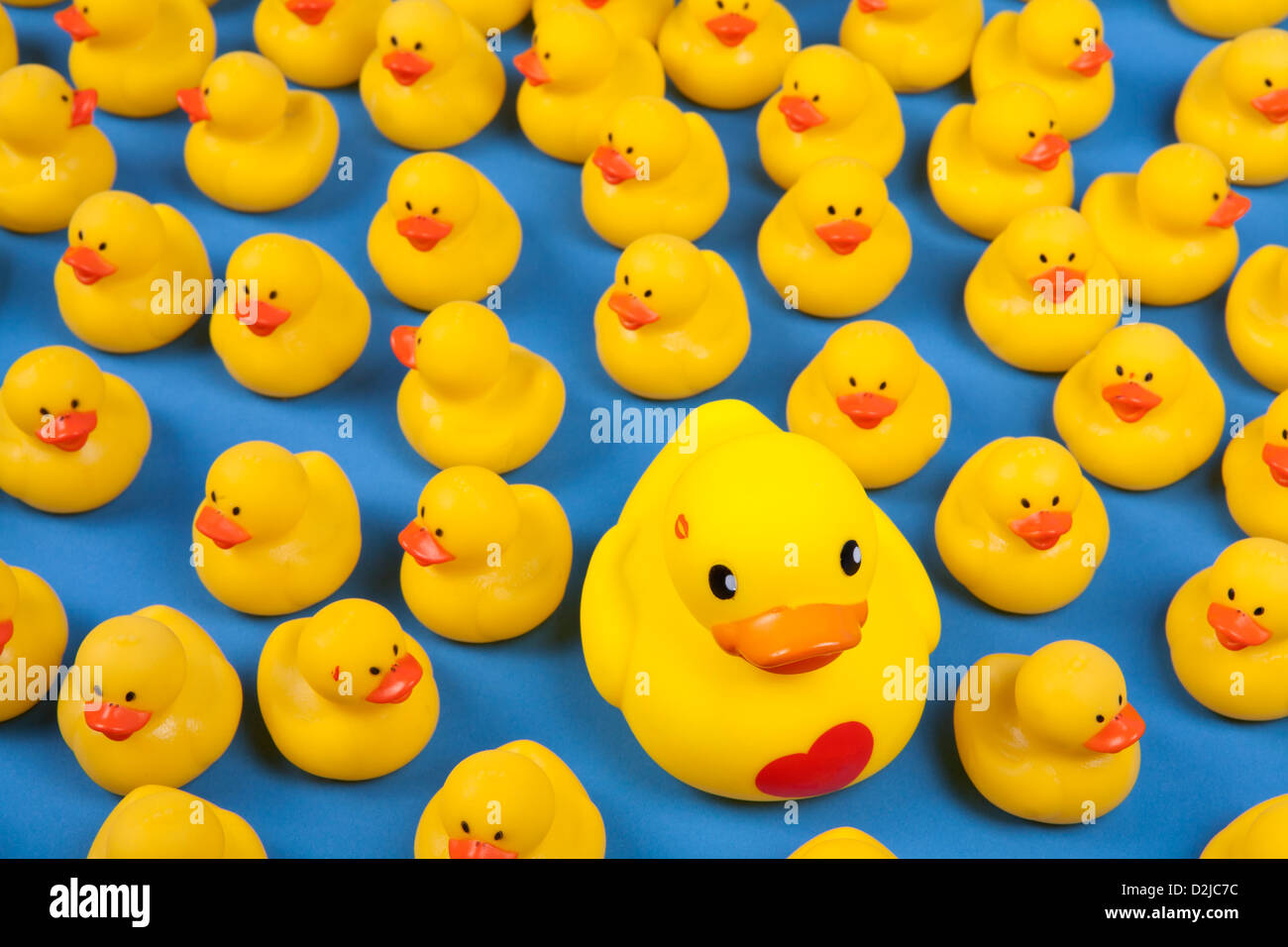 Flock of rubber ducks hires stock photography and images Alamy