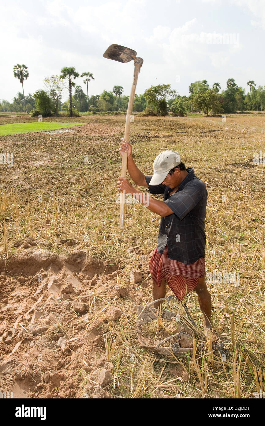 Prahut, Cambodia, a man working in a field Stock Photo