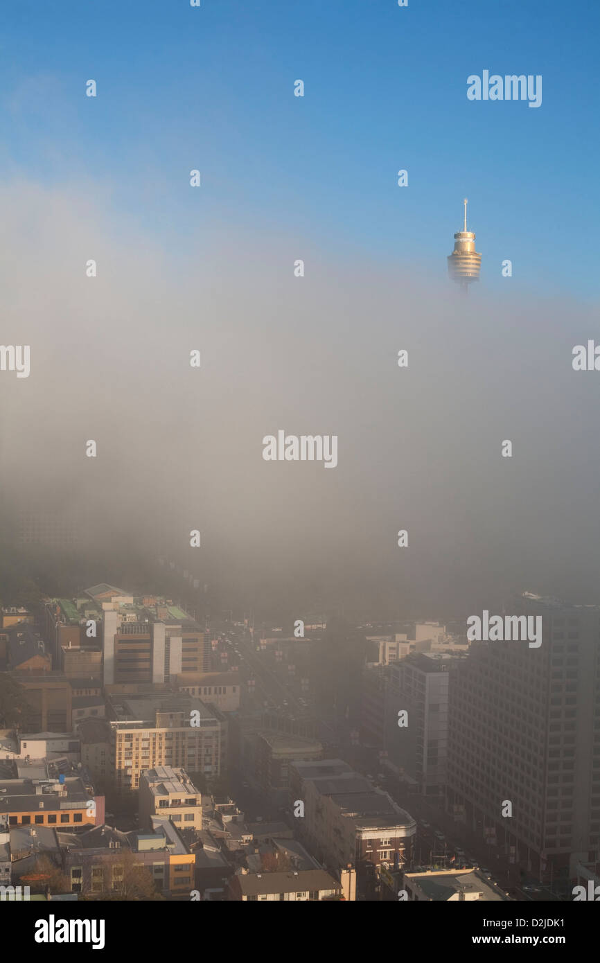 Sydney Tower rises above early-morning fog bank Sydney Australia Stock Photo