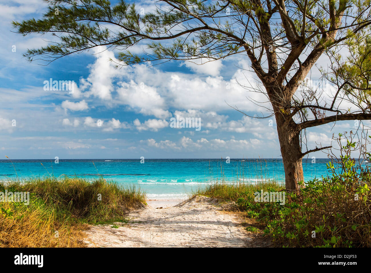 Bahamas, Eleuthera Island, Club Med Beach Stock Photo
