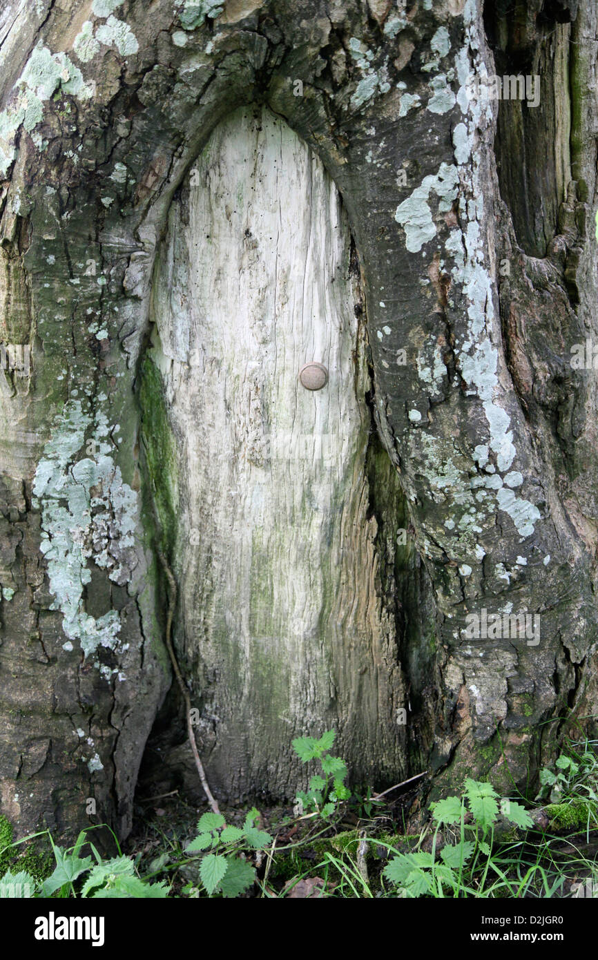 Tree door hi-res stock photography and images - Alamy