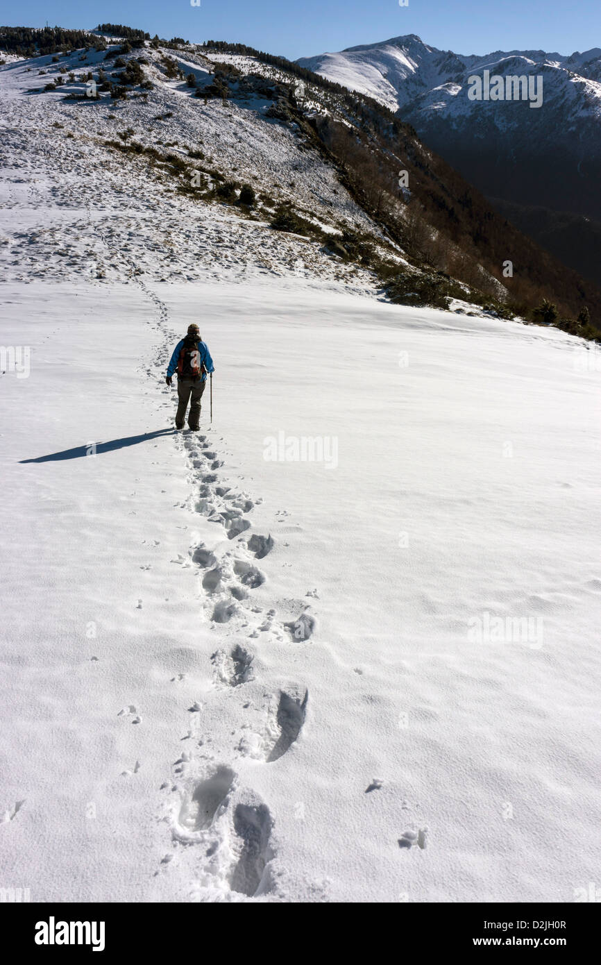 Walker in blue on snow slope, French Pyrenees Stock Photo