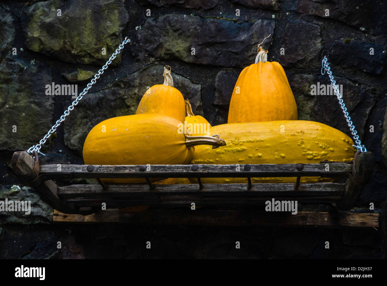 Squash On Wooden Plank - Pumpkins on a wooden holder Stock Photo