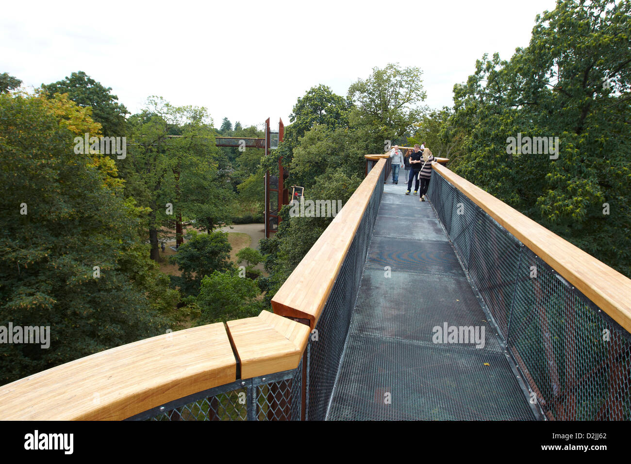 The rhizotron and xstrata treetop walkway, Kew Gardens, London, UK Stock Photo