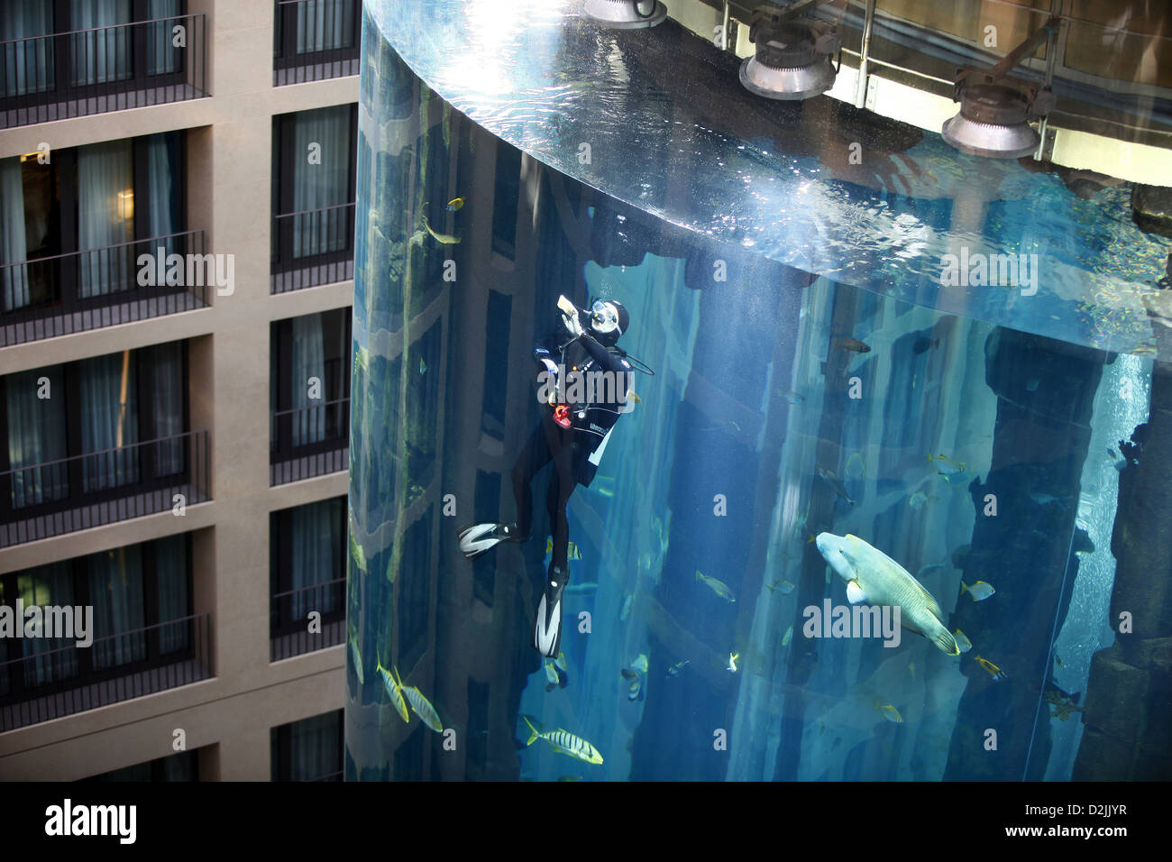 Berlin, Germany, in divers Aquadom of sealife at Hotel Radisson SAS