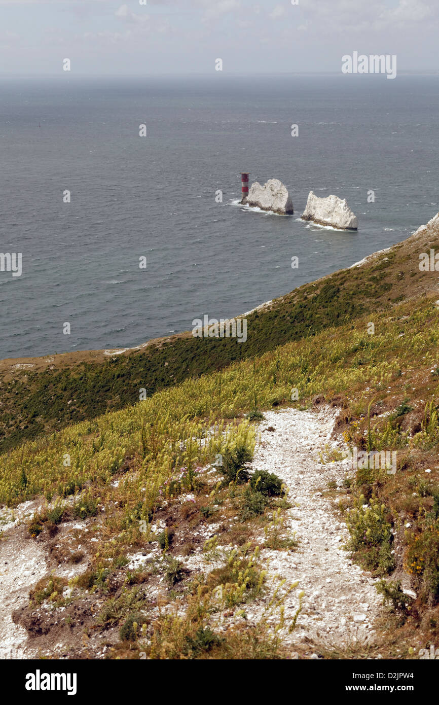 The chalk stacks of The Needles, Isle of Wight, England Stock Photo - Alamy