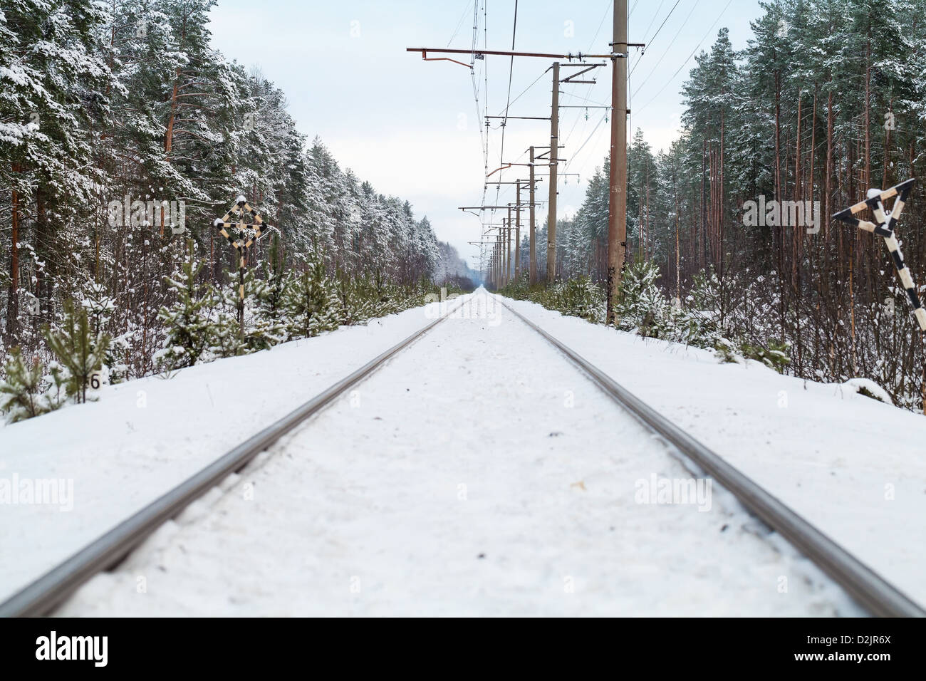 Empty railroad in winter forest perspective background Stock Photo