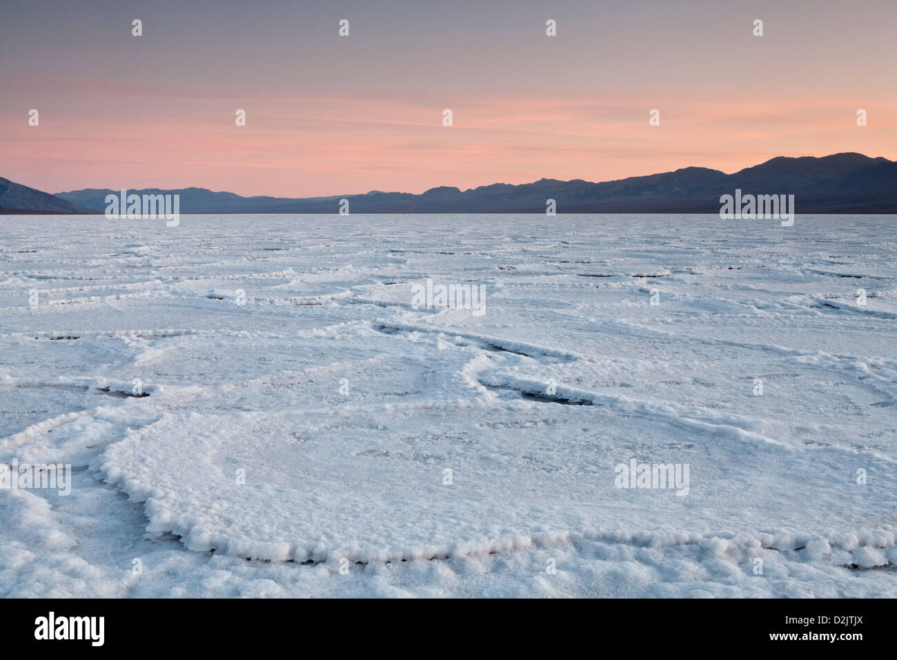 Salt pan polygons at Badwater during sunset, Death Valley National Park, California. Stock Photo