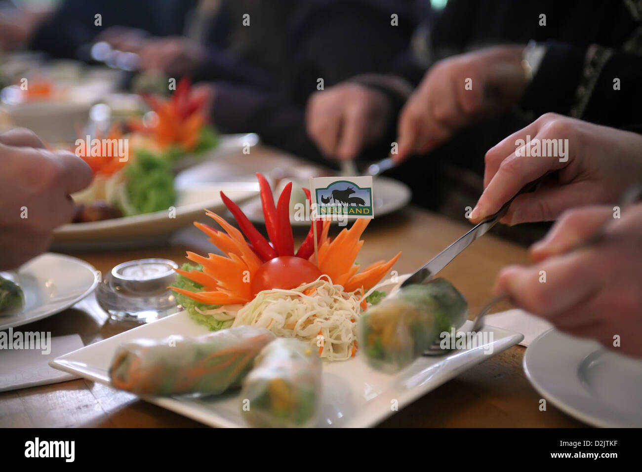 Berlin, Germany, one is directed plate decorated with a flag of Neuland Stock Photo