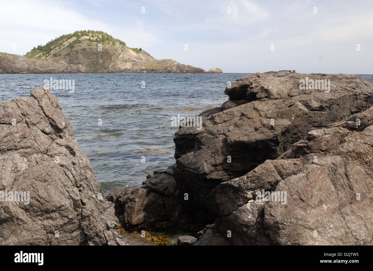 Avalon peninsula hires stock photography and images Alamy