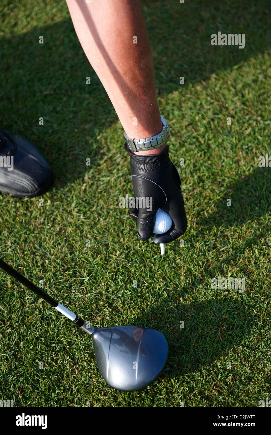 Golfer placing ball on tee Stock Photo