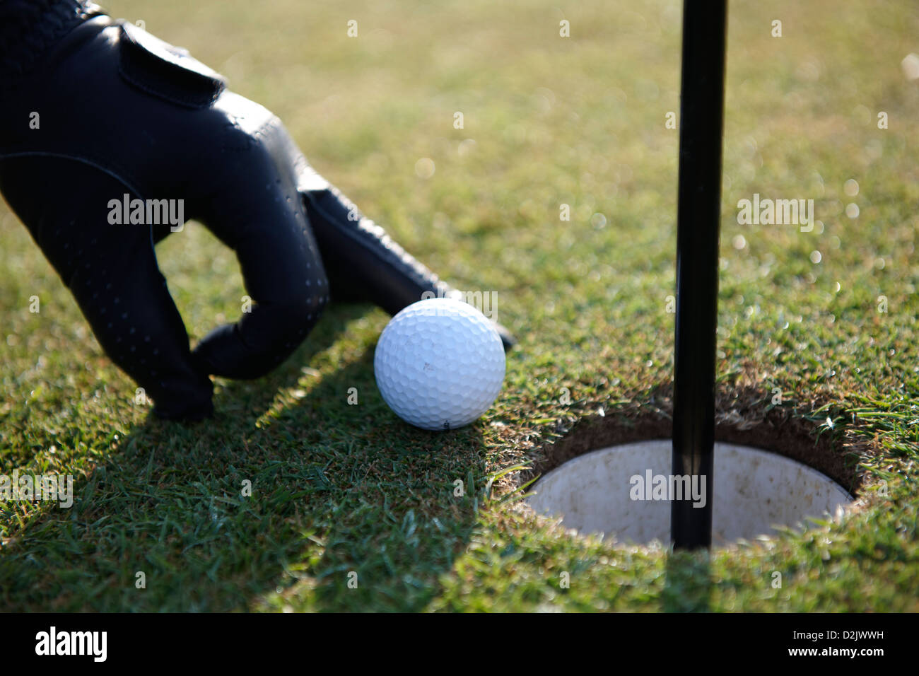 Golf ball on green with golfer flicking it into the hole Stock Photo