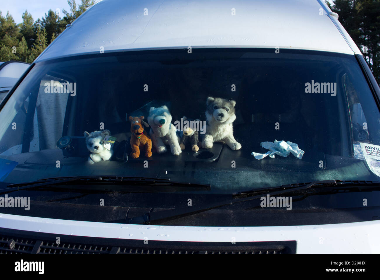 Aviemore, UK. 26th Jan, 2013. Soft toy huskies lined up along the dashboard of a van at the 30th Annual Aviemore Sled Dog Rally. This is the biggest British sled dog racing event of the year and husky enthusiasts have gathered to watch and take part. Stock Photo