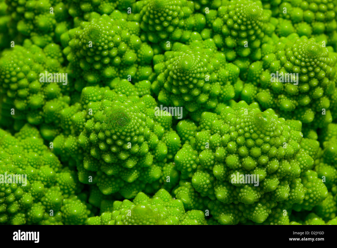 Romanesco broccoli cabbage marco. Nature fractal surface with spital pattern. Stock Photo