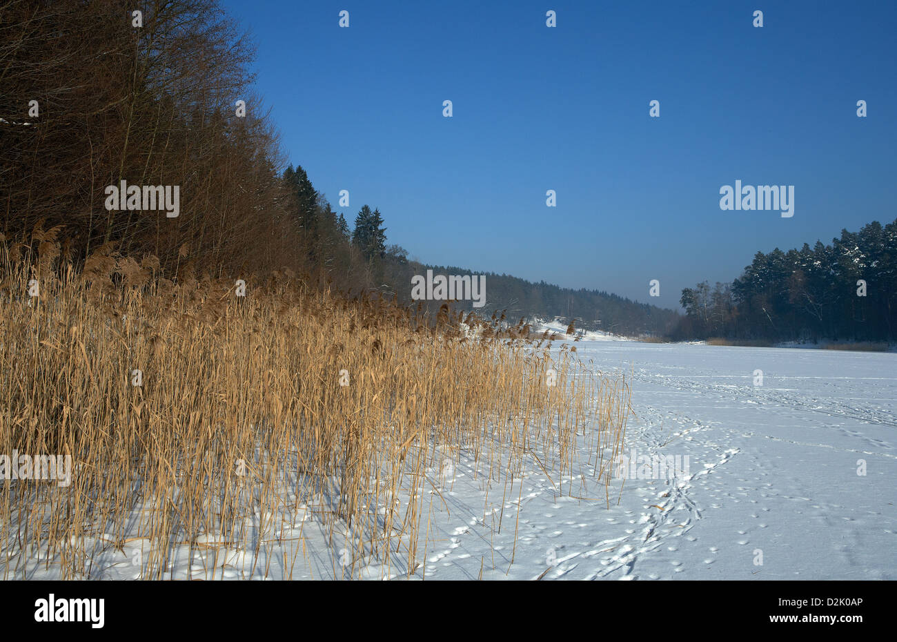 Tiefensee, Germany, frozen Gamensee with snowy landscape Stock Photo