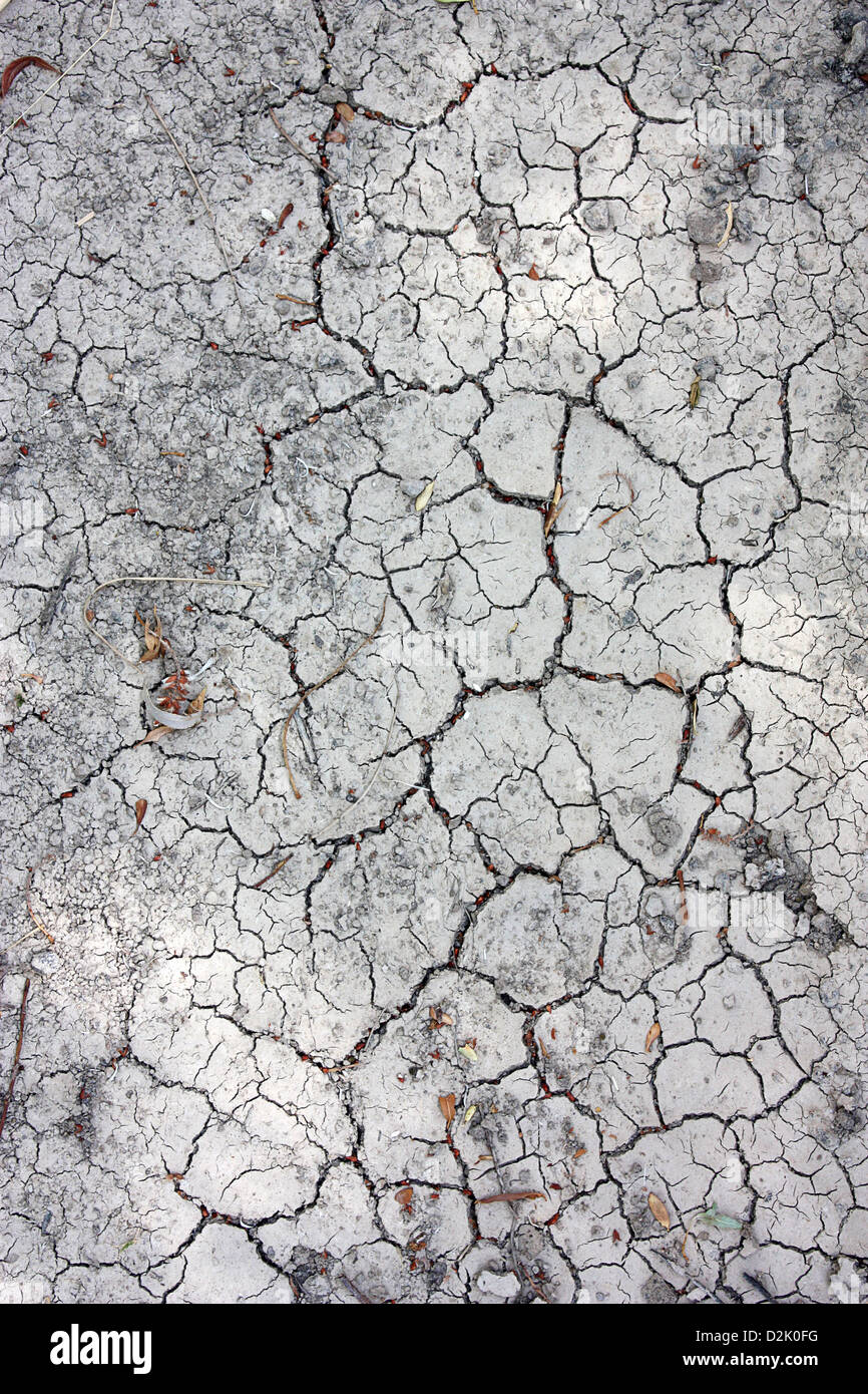 Dry cracked land background vertical Stock Photo - Alamy