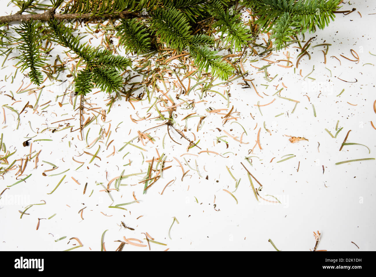 Pine needles christmas hi-res stock photography and images - Alamy