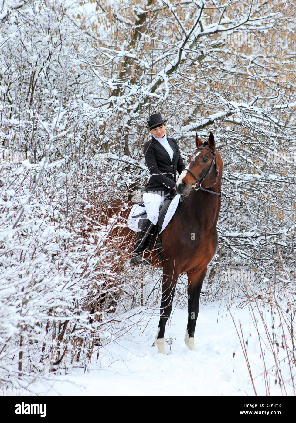 Equestrian in snow woods Stock Photo
