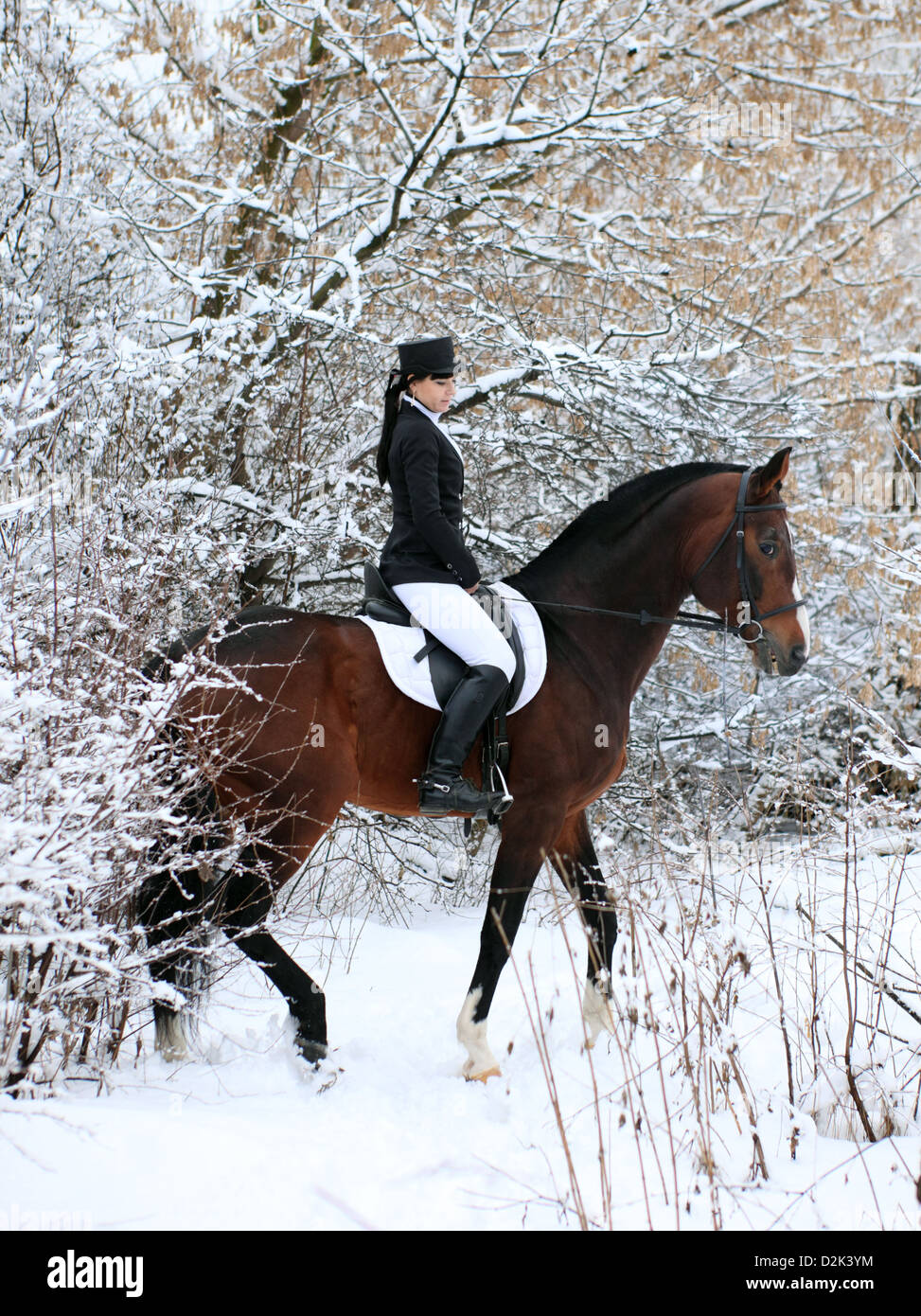 Young woman riding horse through a snowy park Stock Photo