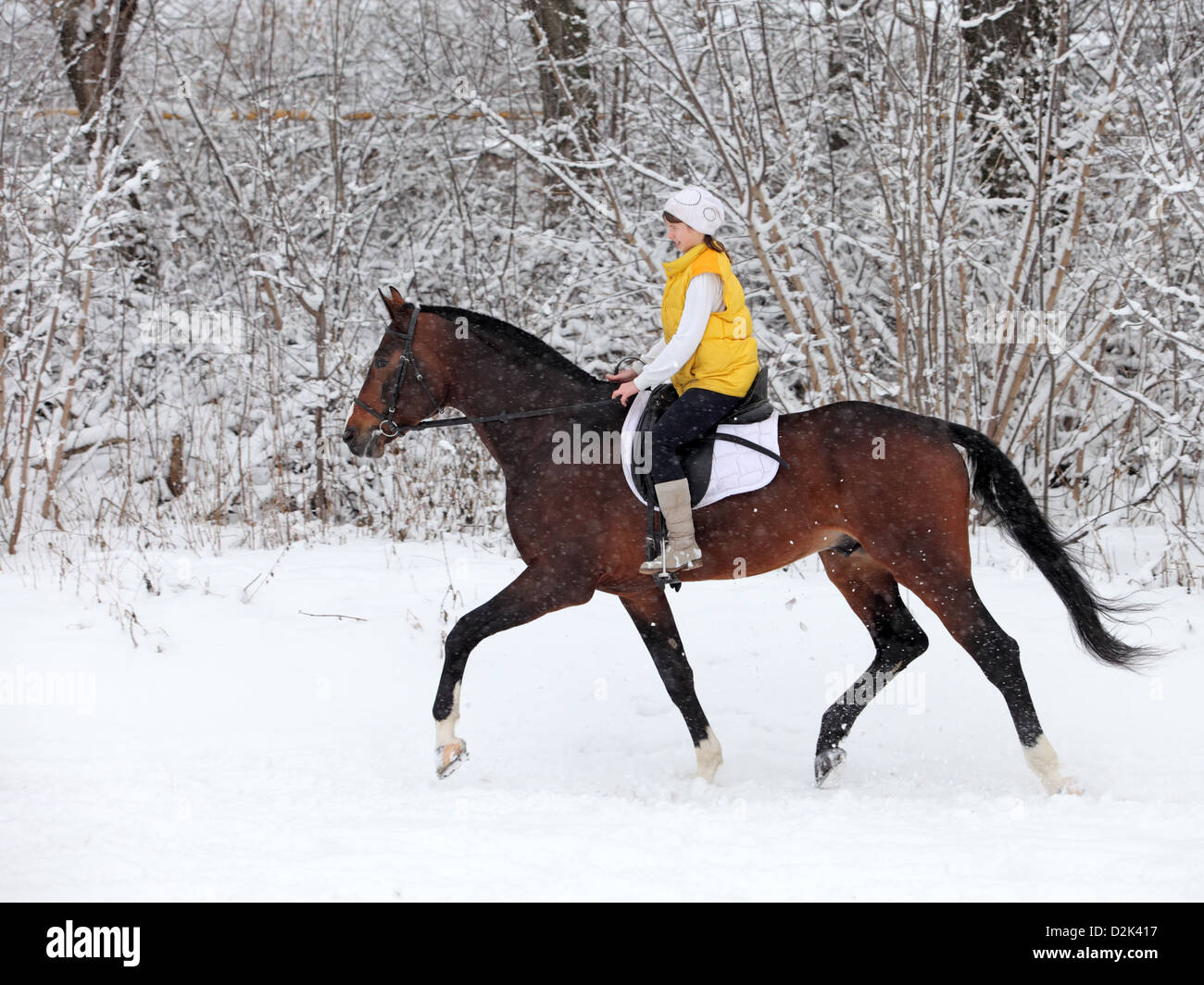 Girl riding in the winter forest Stock Photo