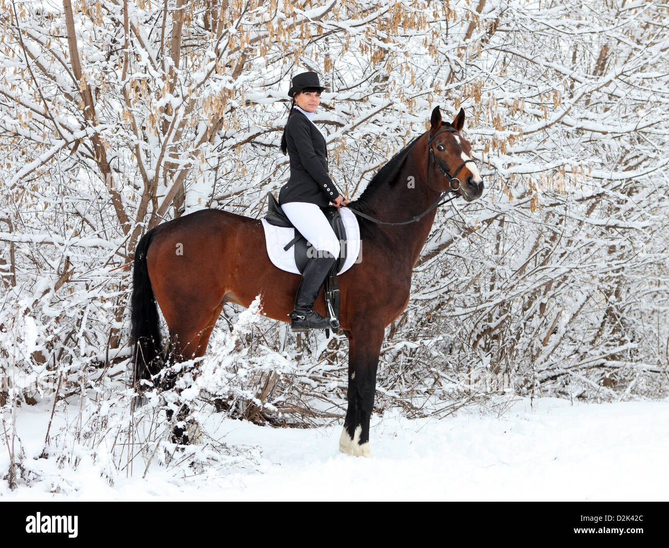 Equestrian girl on dressage horse in winter woods Stock Photo Alamy