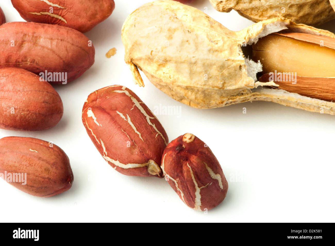 Raw peanuts in shells and shelled peanuts white isolated Stock Photo Alamy