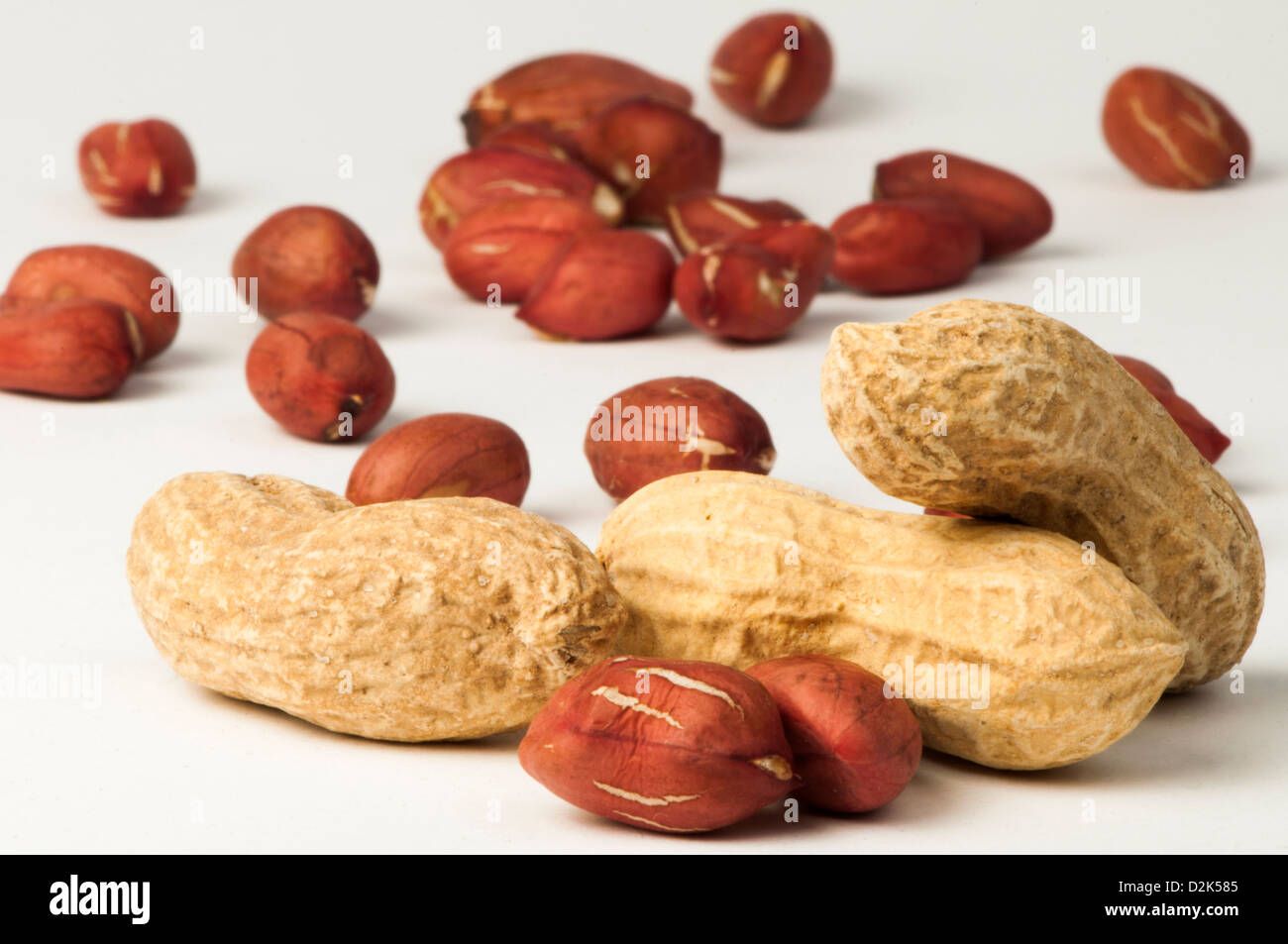 Raw peanuts in shells and shelled peanuts white isolated Stock Photo