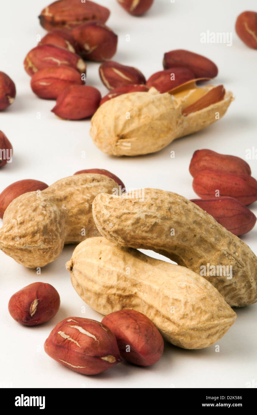 Raw peanuts in shells and shelled peanuts white isolated Stock Photo Alamy