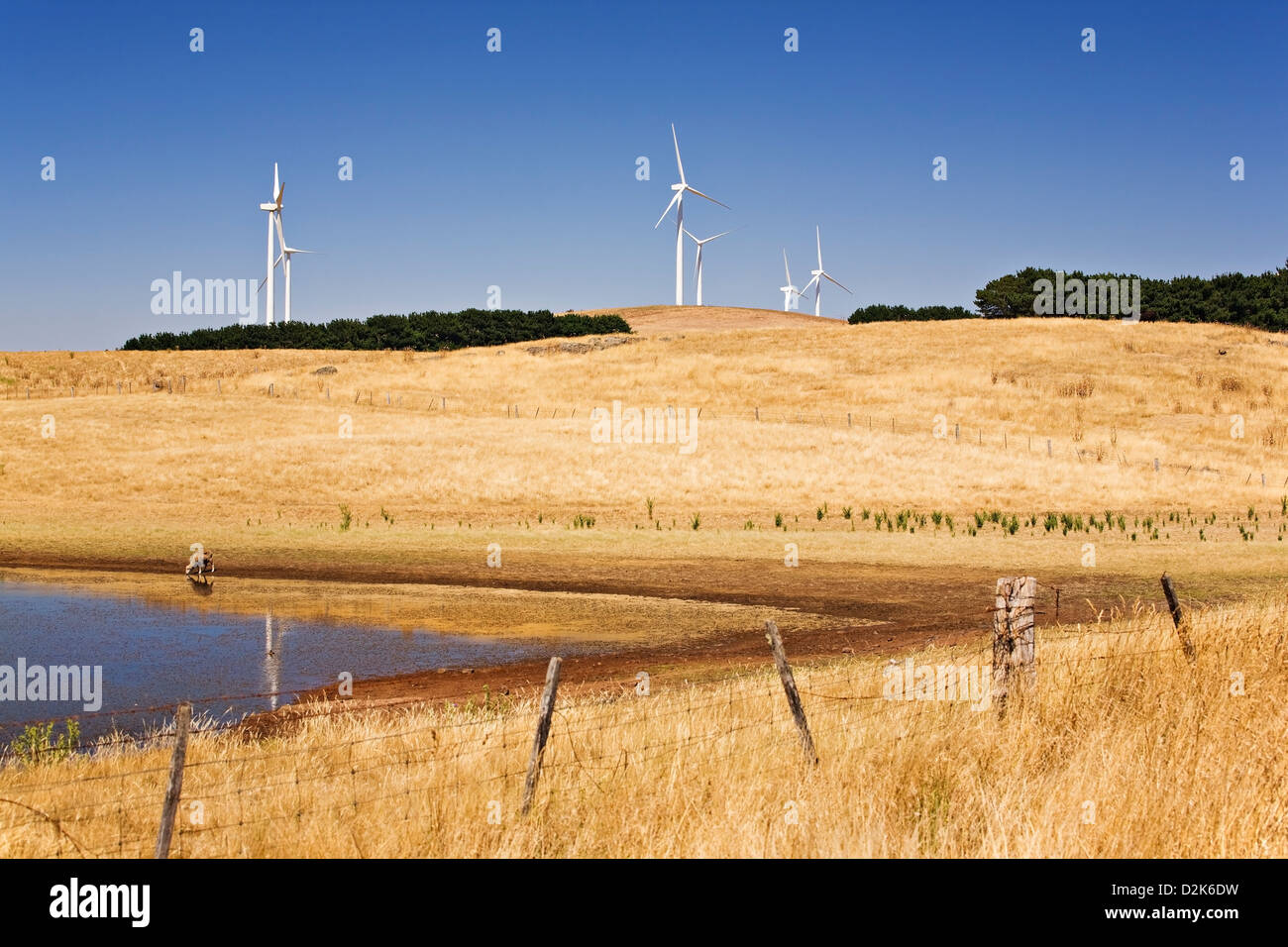 Eco friendly Wind Turbine Farm in Learmonth Victoria Australia. Stock Photo