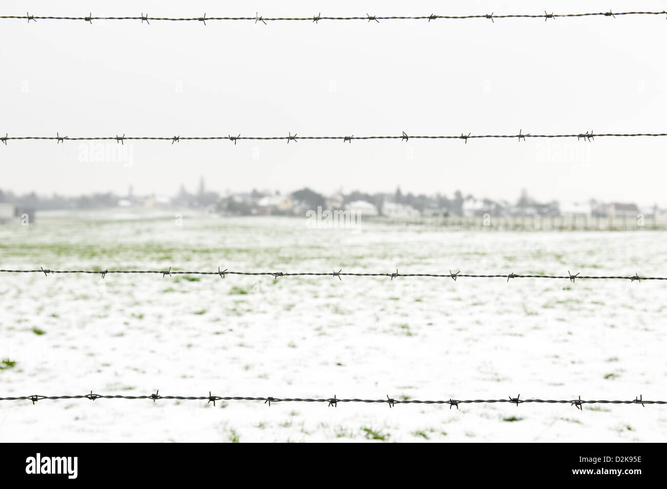 barbed wire on winter country background Stock Photo