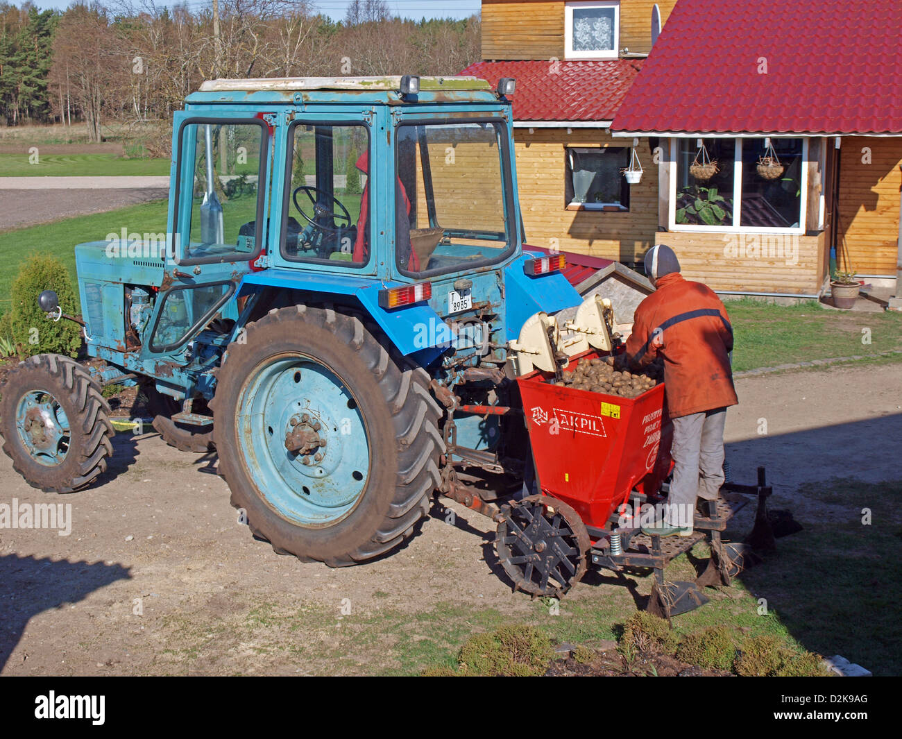 Going to plant potatoes with russian tractor powered two furrows planter Stock Photo
