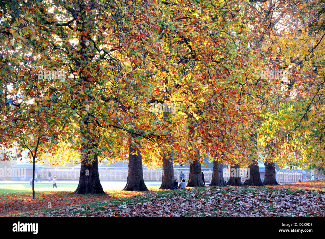 Hyde Park In Autumn London Stock Photo