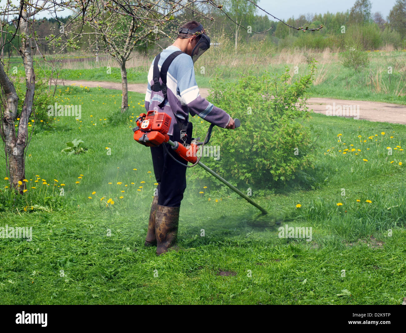 Young man with trimmer cutting grass in fruit garden Stock Photo - Alamy