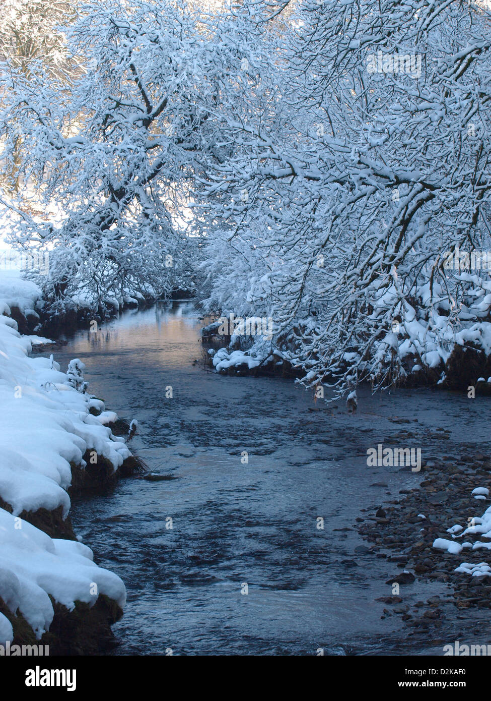 January cold pretty riverbank bank shallow tree branches covered