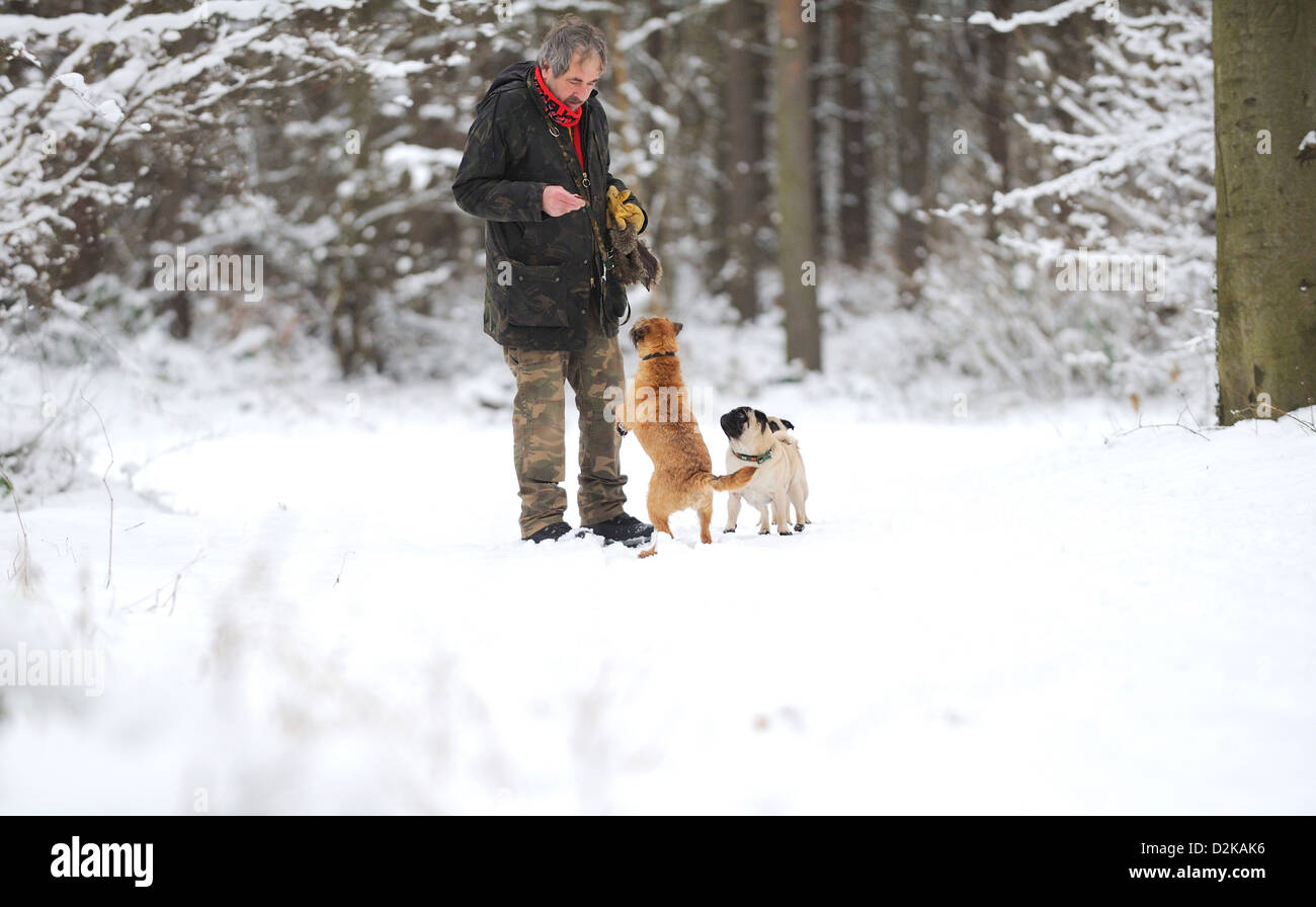 How Do You Treat A Dogs Cold