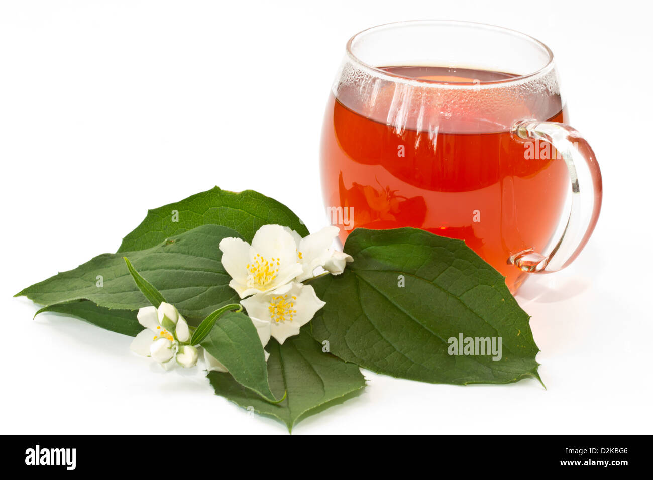 jasmine tea and jasmine flowers on a white background Stock Photo Alamy