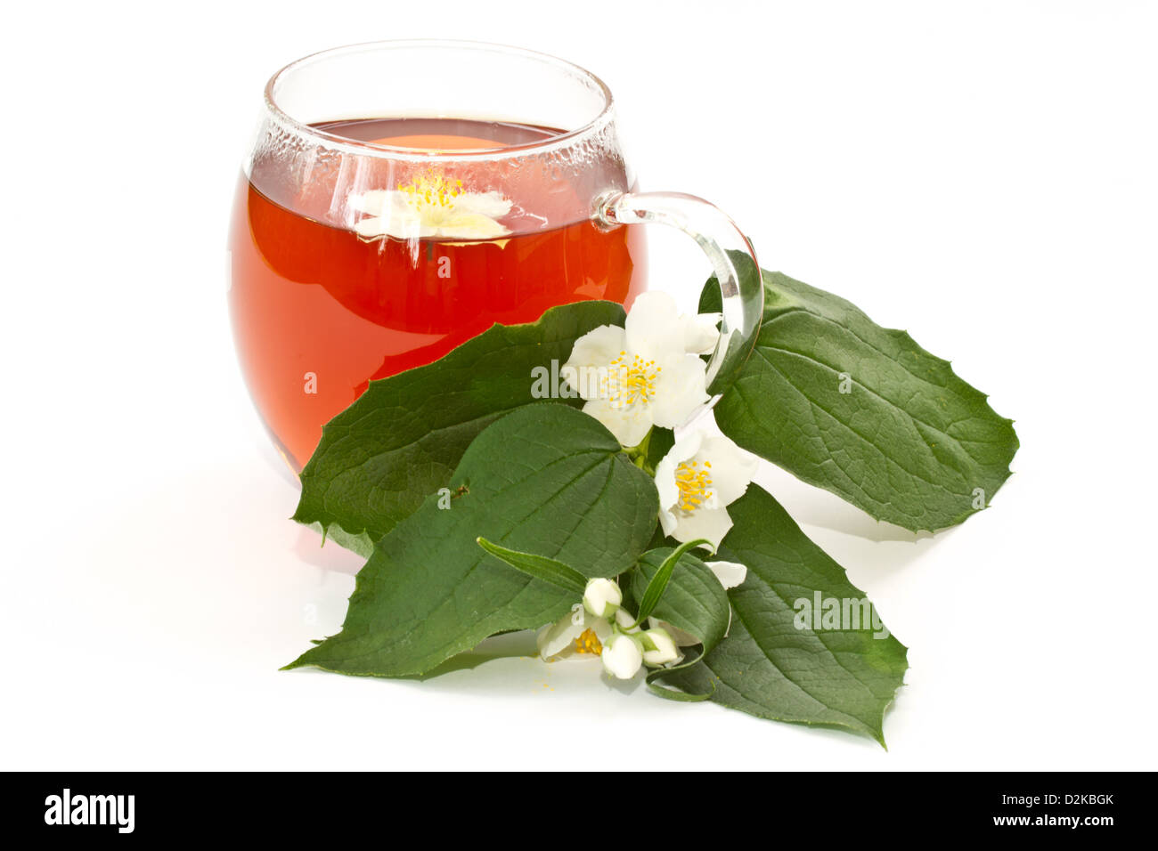 jasmine tea and jasmine flowers on a white background Stock Photo Alamy