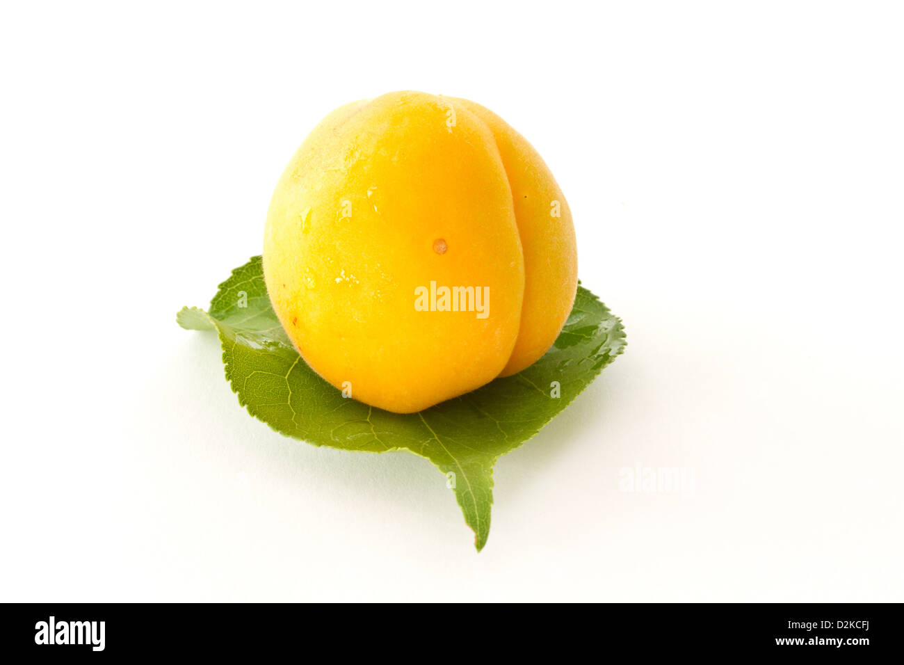 ripe apricots on a white background Stock Photo - Alamy
